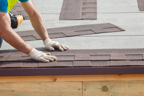 Best Roof Moss and Algae Removal  in Urbandale, IA